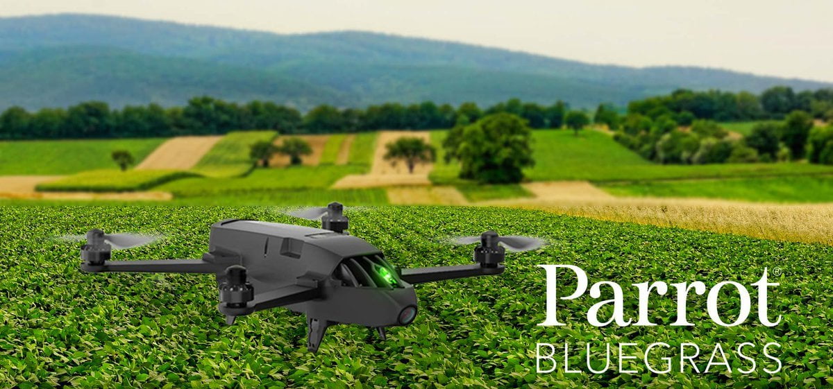 droni parrot bluegrass